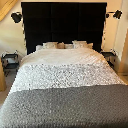 Ana Centrum Apartment *